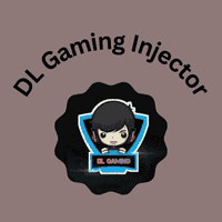 DL Gaming Injector