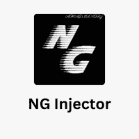 NG Injector